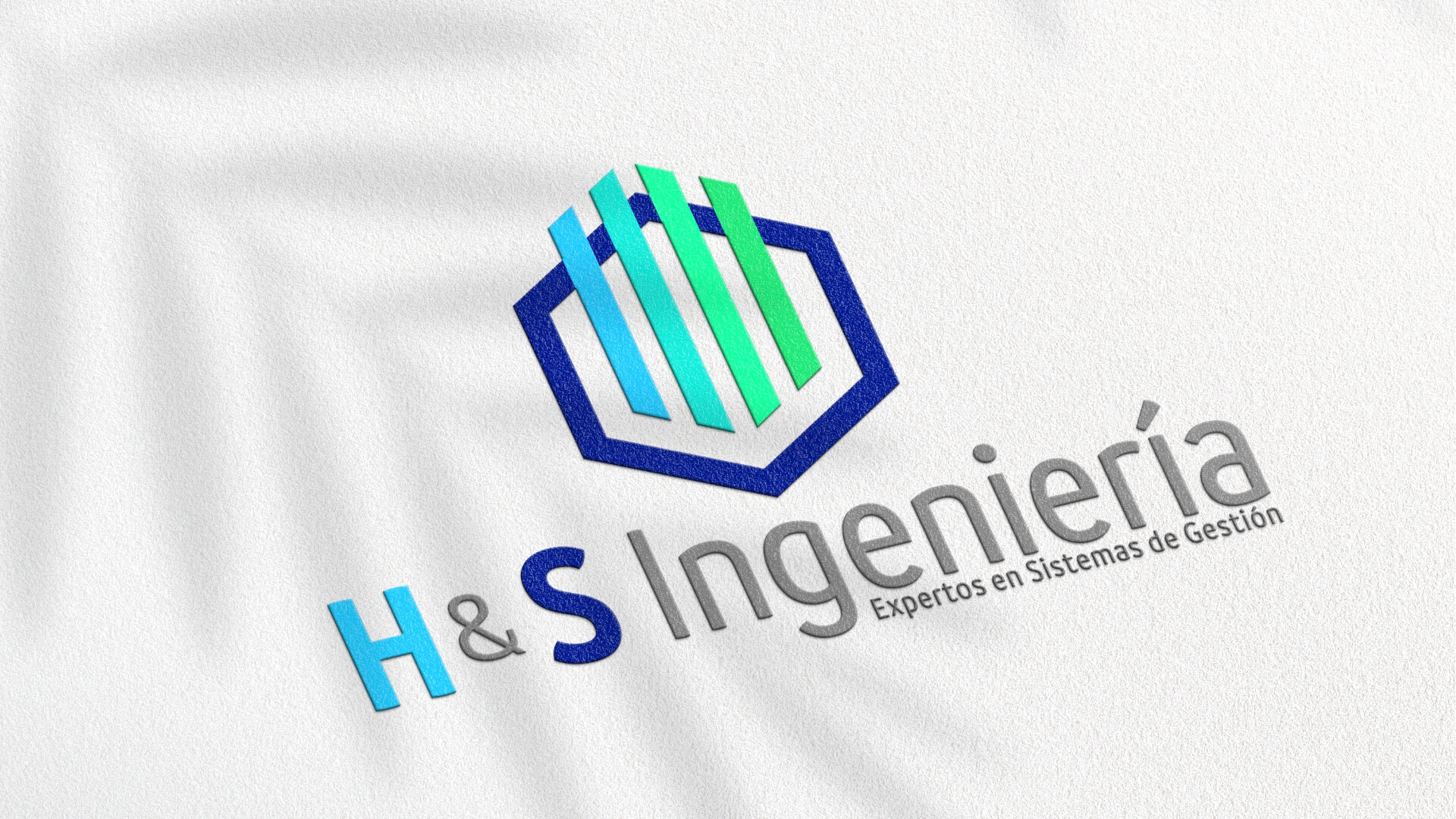 Logo H&S 2